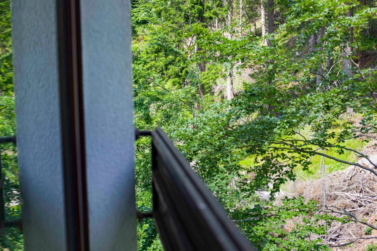 Forest Dream Apartment - Elit Pamporovo Dış mekan fotoğraf