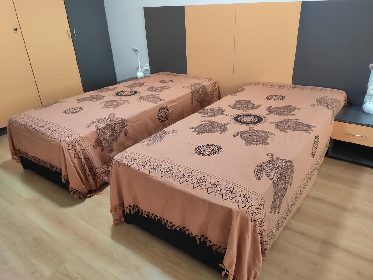 Forest Dream Apartment - Elit Pamporovo Dış mekan fotoğraf