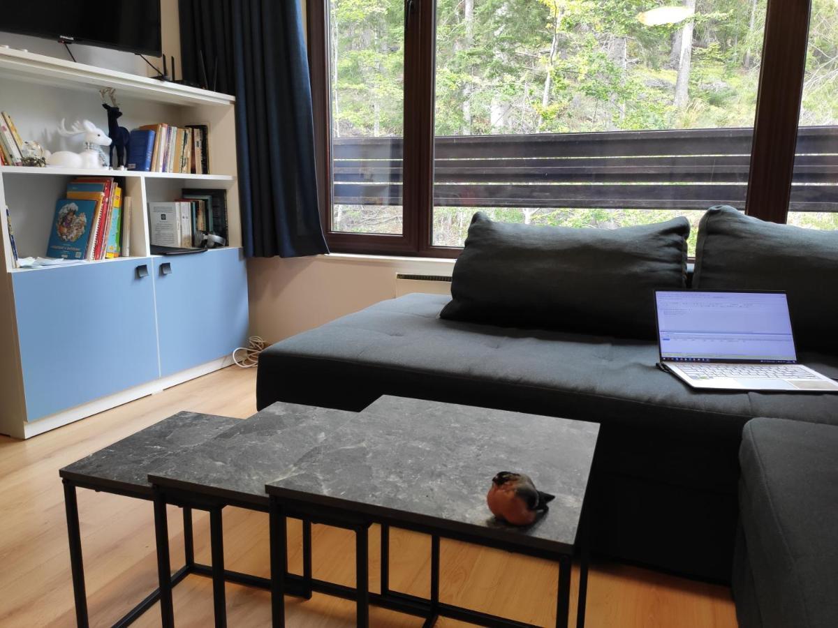 Forest Dream Apartment - Elit Pamporovo Dış mekan fotoğraf