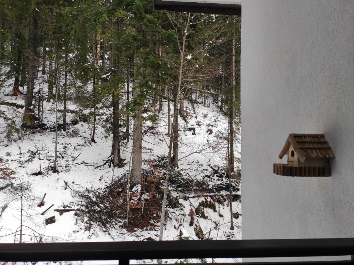 Forest Dream Apartment - Elit Pamporovo Dış mekan fotoğraf