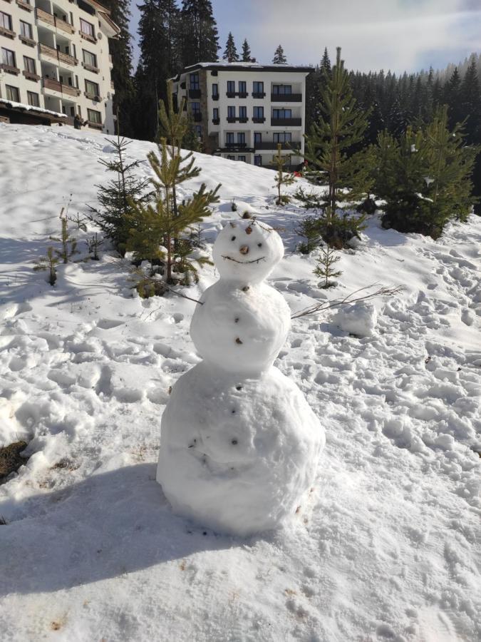 Forest Dream Apartment - Elit Pamporovo Dış mekan fotoğraf
