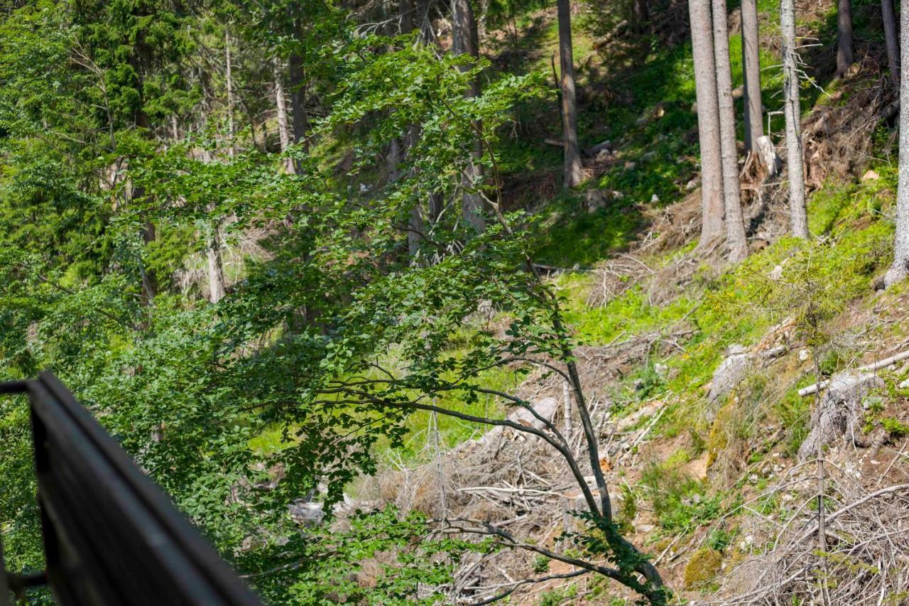 Forest Dream Apartment - Elit Pamporovo Dış mekan fotoğraf