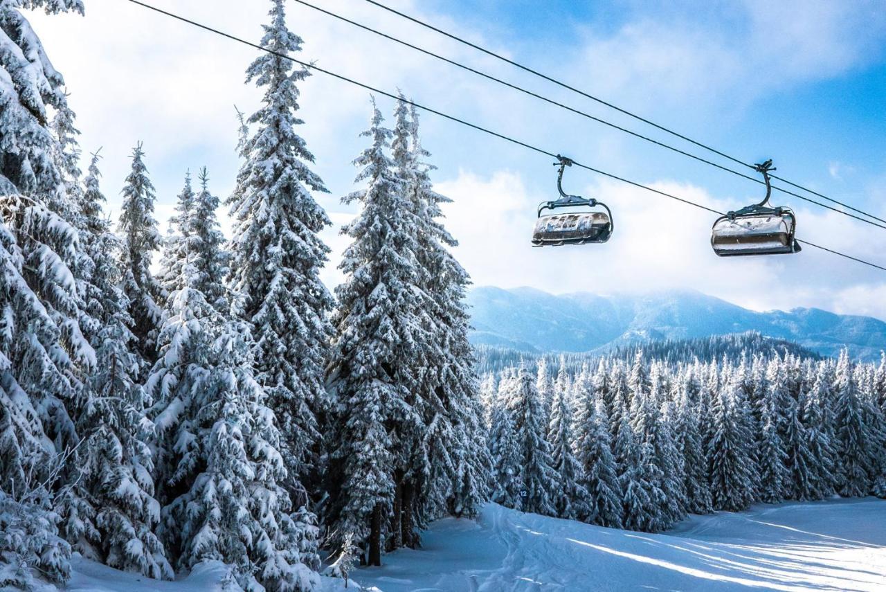 Forest Dream Apartment - Elit Pamporovo Dış mekan fotoğraf