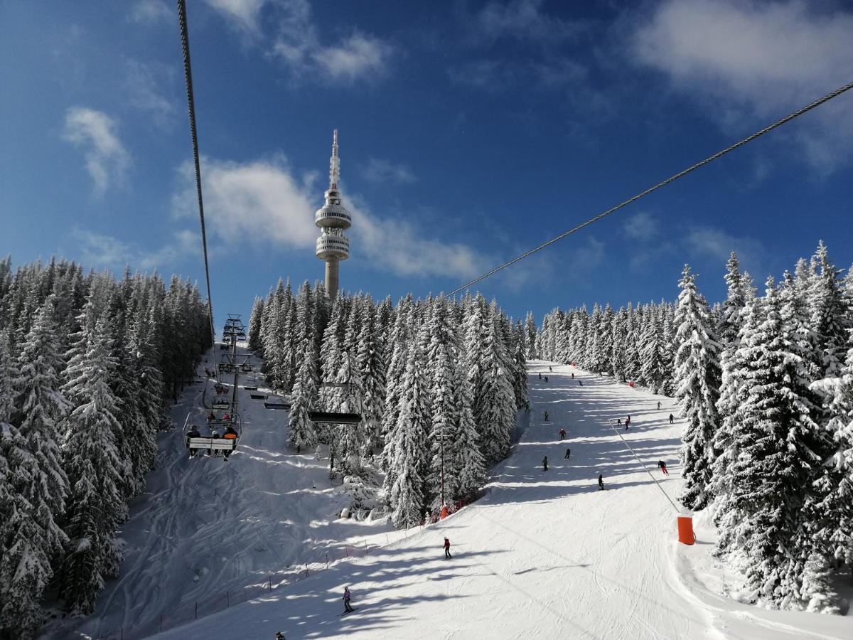 Forest Dream Apartment - Elit Pamporovo Dış mekan fotoğraf